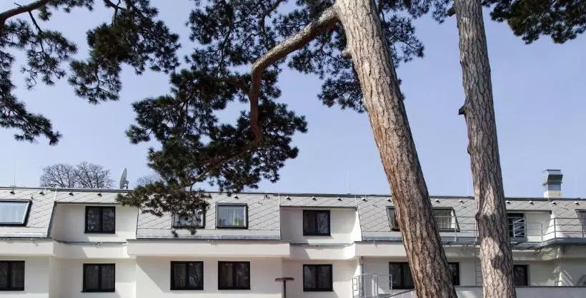 Fotos del hotel Seminarhotel Springer Schlössl:  12