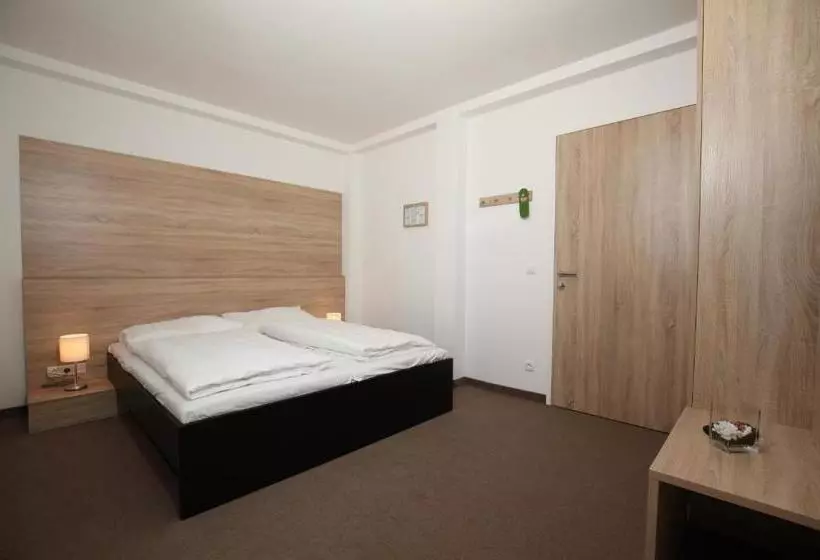 Fotos del hotel Seminarhotel Springer Schlössl:  7