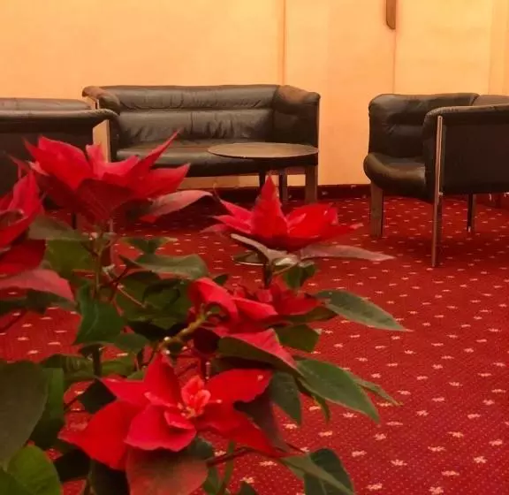 Fotos del hotel Centro:  3