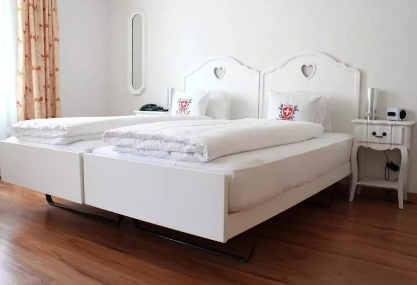 Fotos del hotel Weisses Kreuz:  22