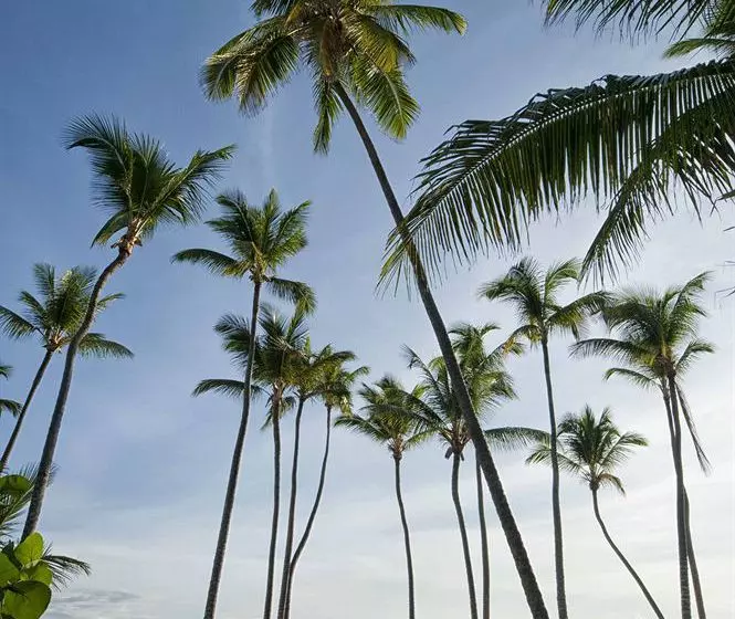 Fotos del hotel Meliá Caribe Tropical Beach & Golf Resort:  6