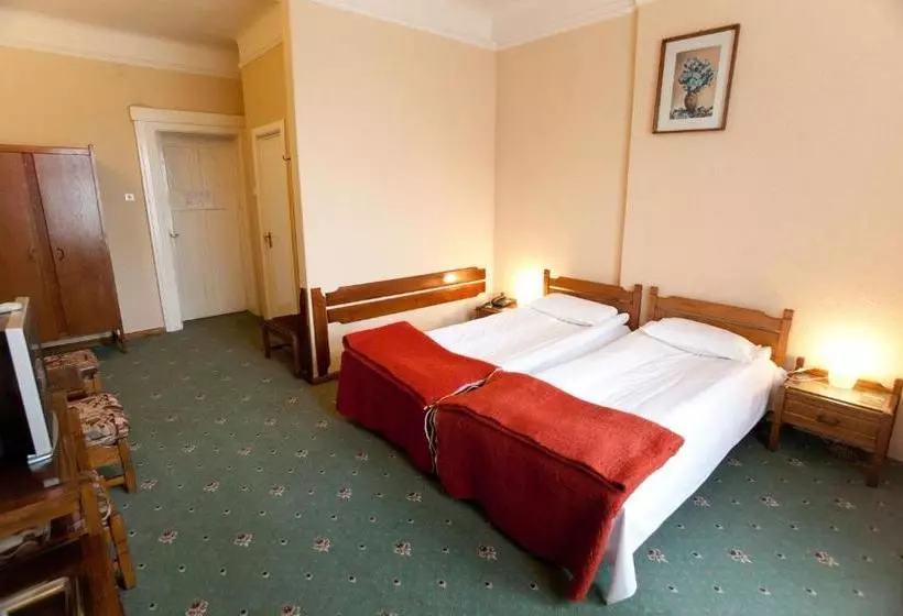 Fotos del hotel Coroana:  2