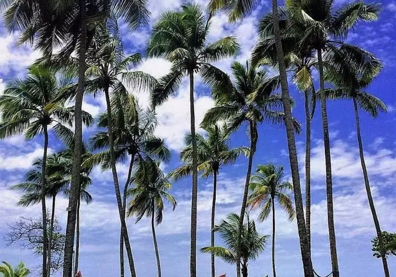 Fotos del hotel Bahia Las Ballenas:  5