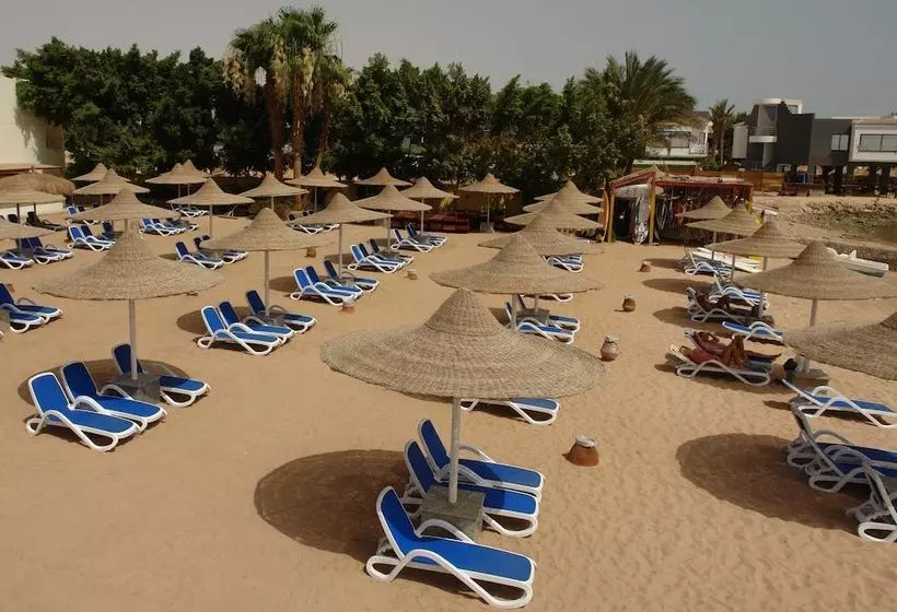 Fotos del hotel Club  Aqua Fun Hurghada:  5