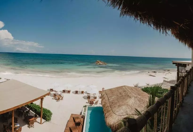 Fotos del hotel Akkuun Tulum - Adults Only:  13