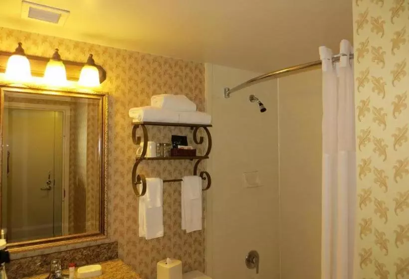 Fotos del hotel Gateway Hotel Dallas:  5