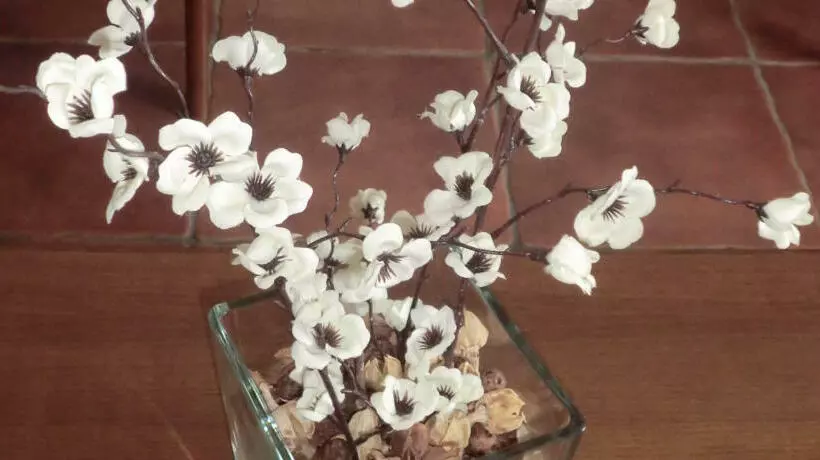 Fotos del hotel Varandas De Alter Hotel & Spa:  6