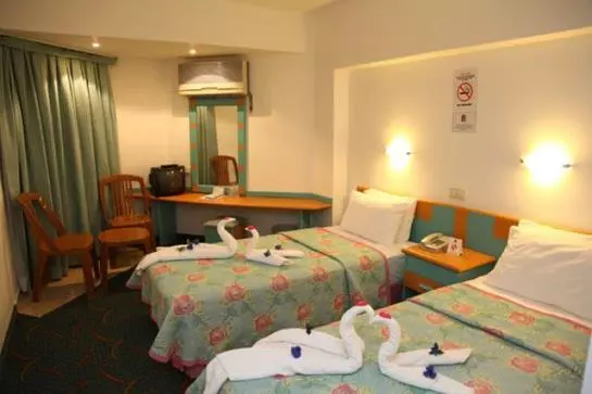 Fotos del hotel Hotel Pelin:  13