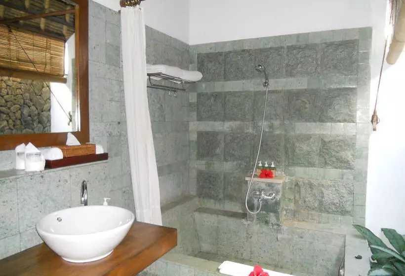 Fotos del hotel Alam Asmara Dive Resort:  6