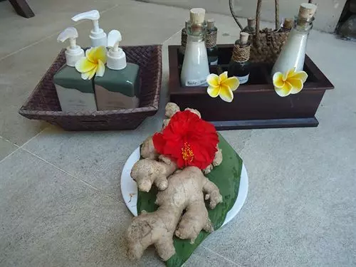 Fotos del hotel Alam Asmara Dive Resort:  20