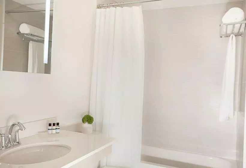 Fotos del hotel Habitat Miami:  12