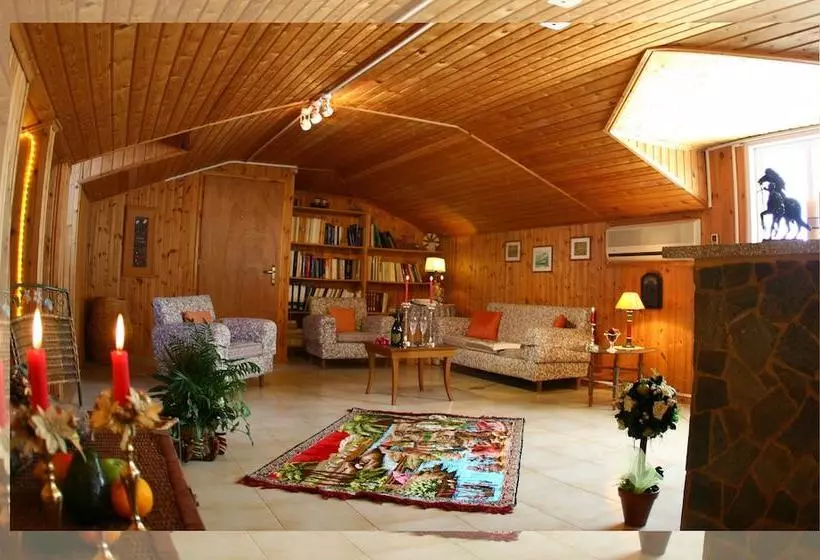 Fotos del hotel Ionis Art:  13