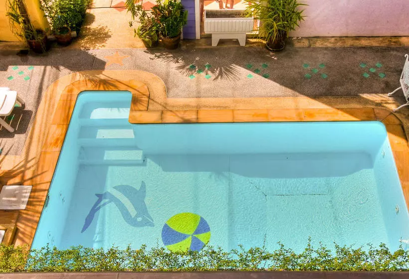 Fotos del hotel Absolute Guest house:  2