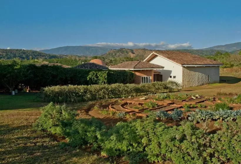 Fotos del hotel Asclepios Wellness & Healing Retreat:  6