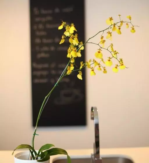 Fotos del hotel Sites:  15