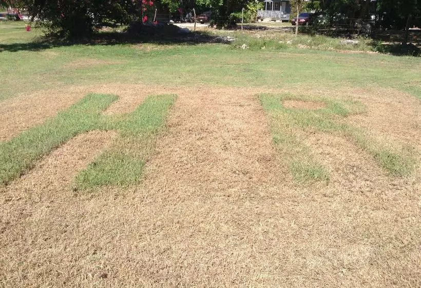 Fotos del hotel Royale Hummingbird Cliff Resort:  9