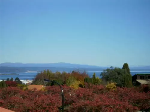 Fotos del hotel Falls Chateau:  7