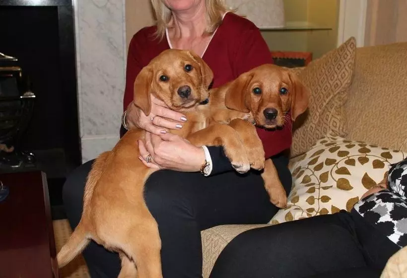 Fotos del hotel Alveston House:  7