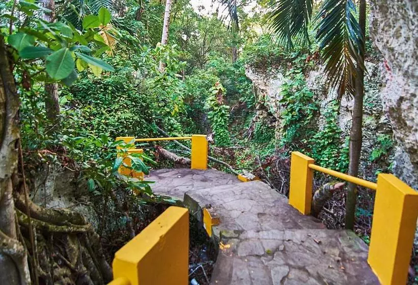 Fotos del hotel Grand Laguna Beach:  11