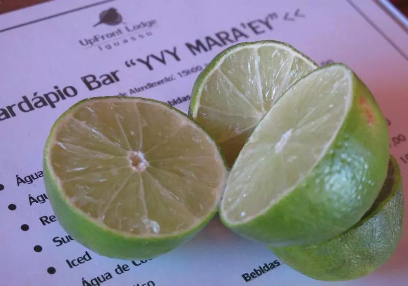 Fotos del hotel Upfront Lodge Iguassu:  15