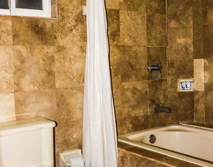 Fotos del hotel Paraíso Mexicano:  4