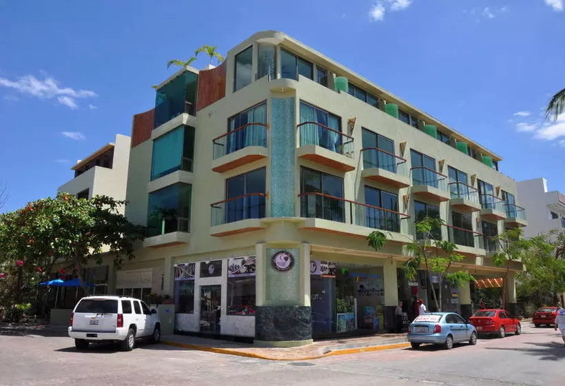 Mimosa Tree Residence