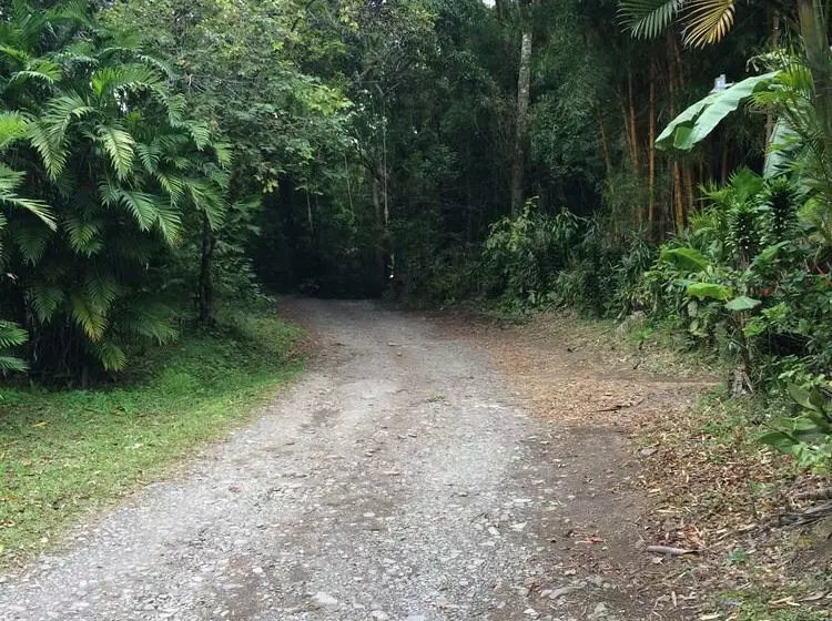 Fotos del hotel El Bosque Trails & Ecolodge:  20