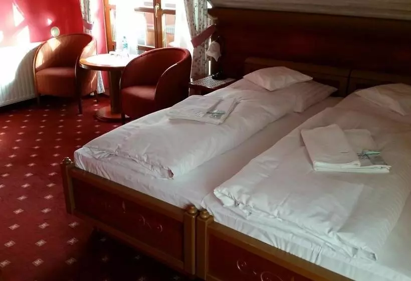 Fotos del hotel Promyk Wellness & Spa:  16