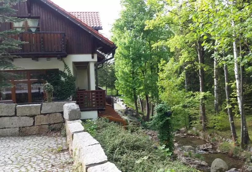 Fotos del hotel Promyk Wellness & Spa:  21