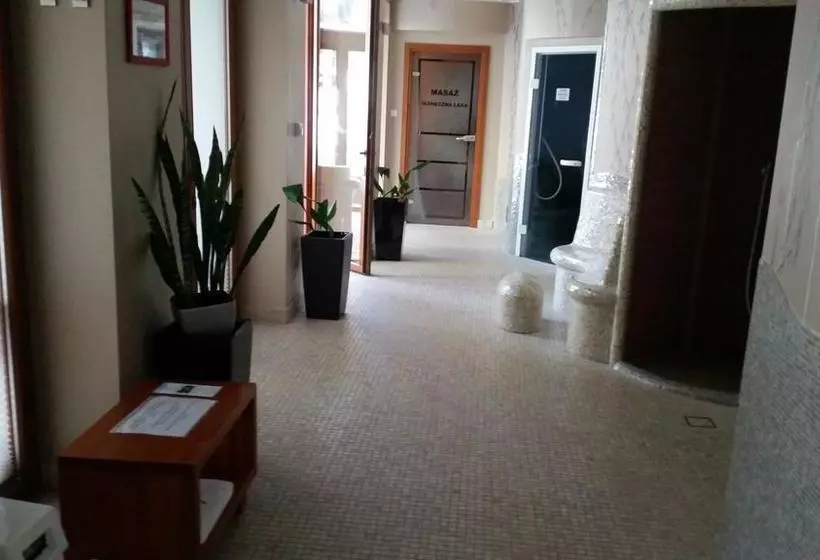 Fotos del hotel Promyk Wellness & Spa:  4