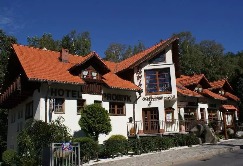 Fotos del hotel Promyk Wellness & Spa:  9