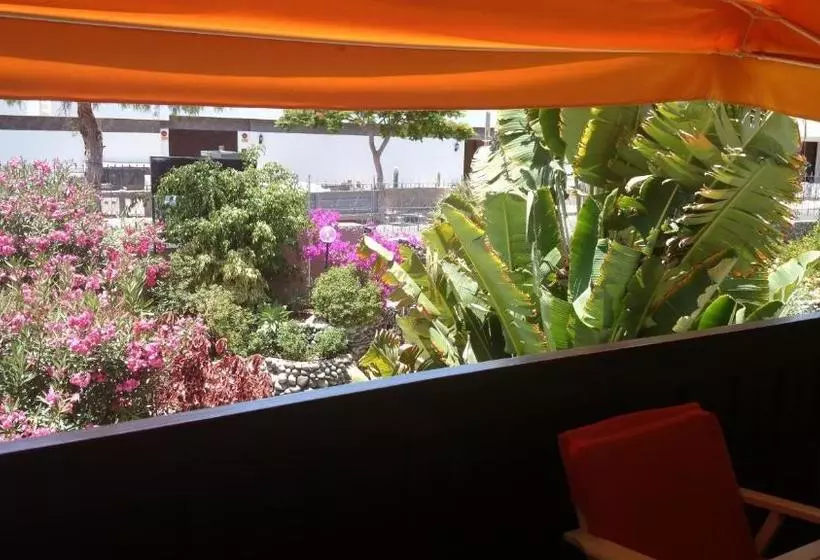 Fotos del hotel Club Canario:  14