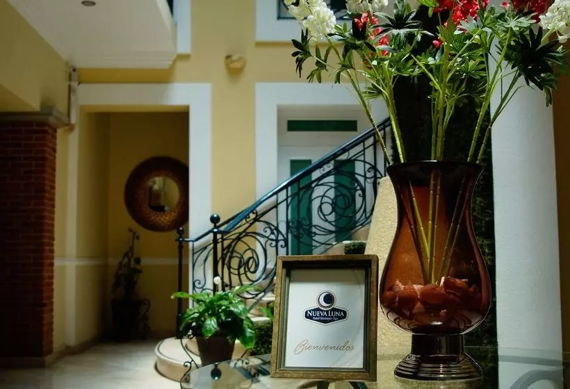 Fotos del hotel Forrest & Spa Puebla:  8