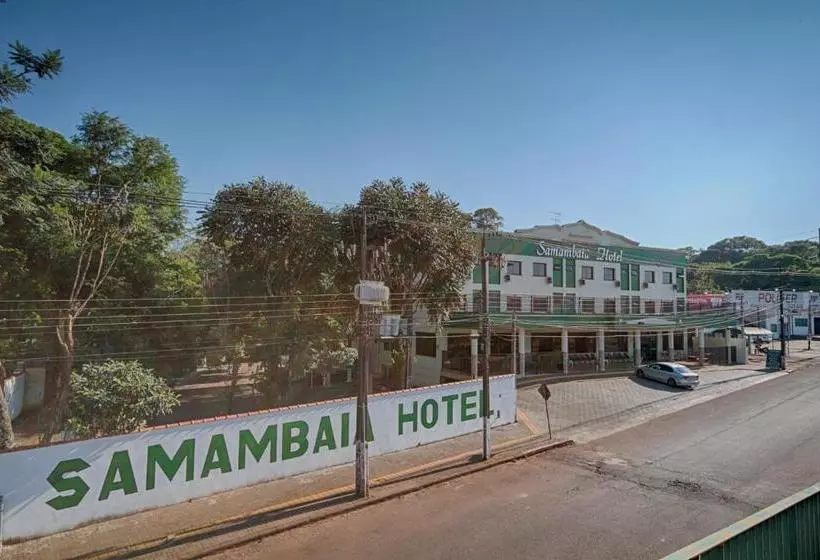 Samambaia