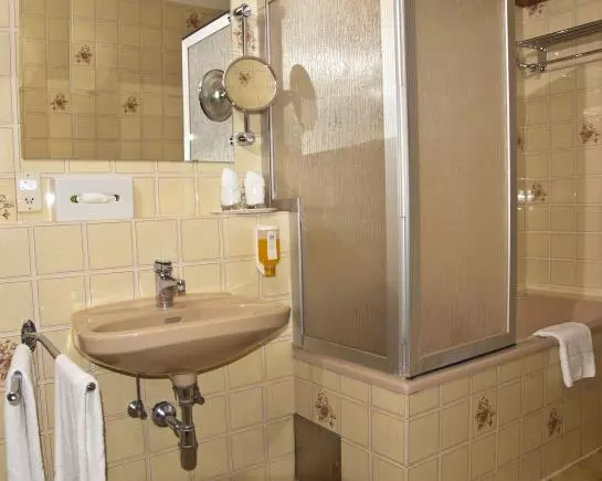 Fotos del hotel Hotel Bauer:  5