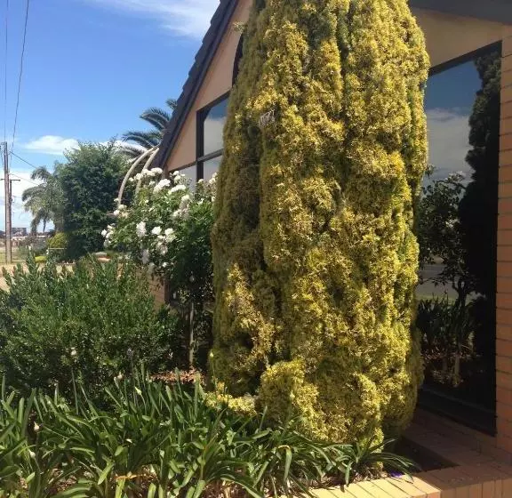 Fotos del hotel Aviators Lodge:  7