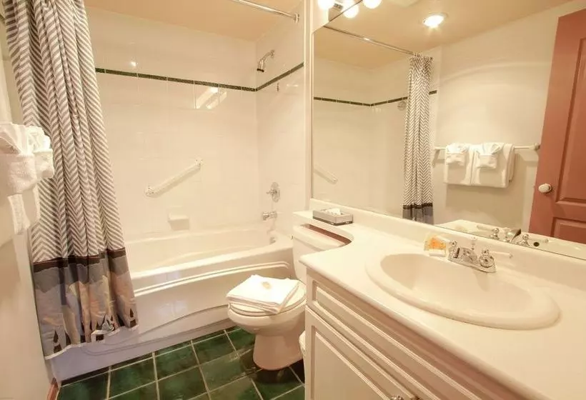 Fotos del hotel Town Plaza:  3