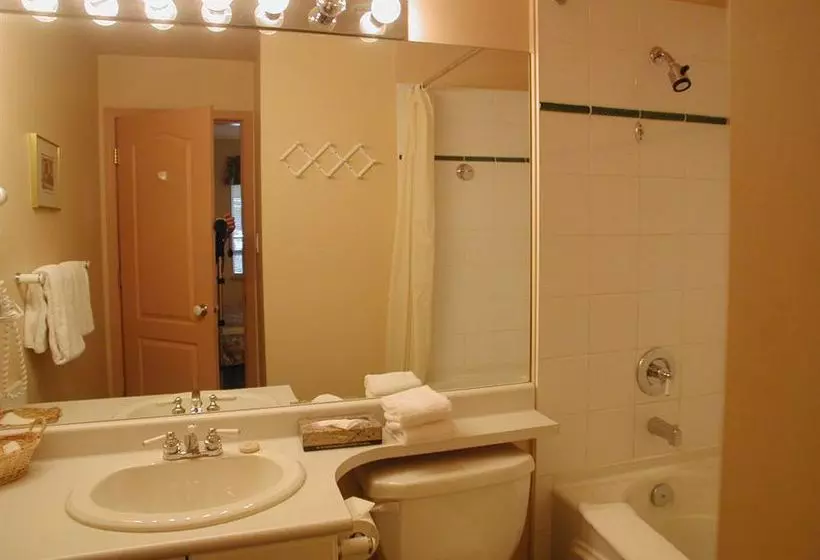 Fotos del hotel Town Plaza:  7