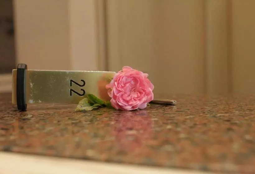 Fotos del hotel Messe Medici:  15