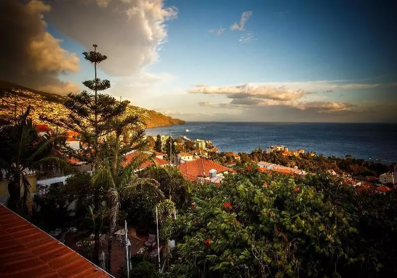 Fotos del hotel Flame Tree Madeira:  6