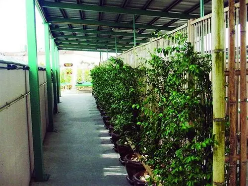 Fotos del hotel Boonsiri Place:  13