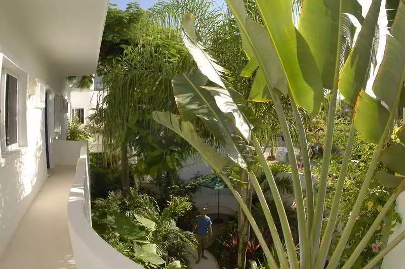 Fotos del hotel Aqualuna Boutique Hotel:  4