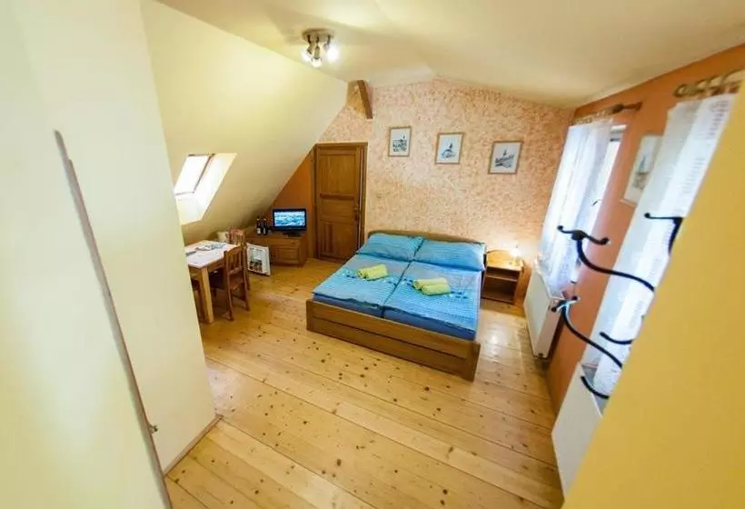 Fotos del hotel Penzion Svet:  10