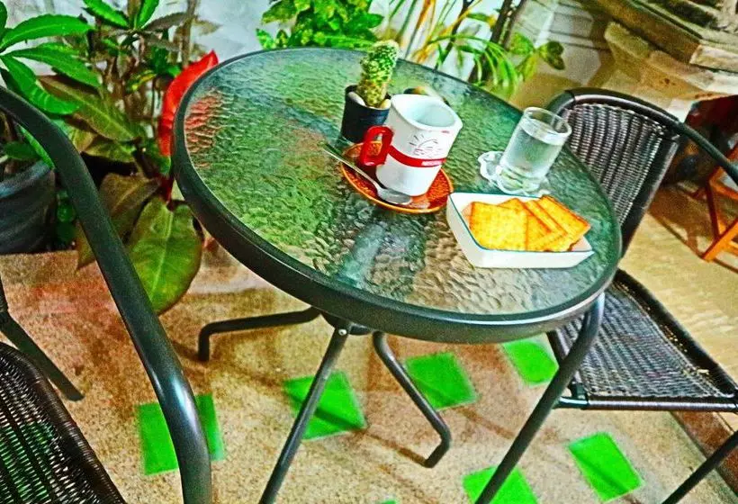 Fotos del hotel Nest:  4