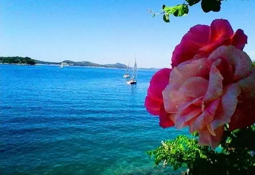 Fotos del hotel Sea Of Eden:  13