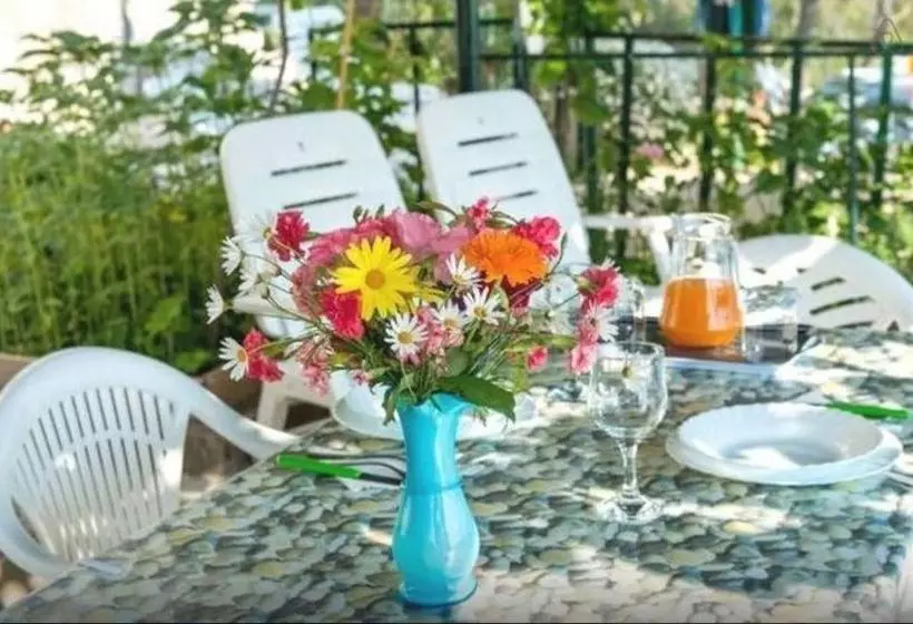 Fotos del hotel Sea Of Eden:  2