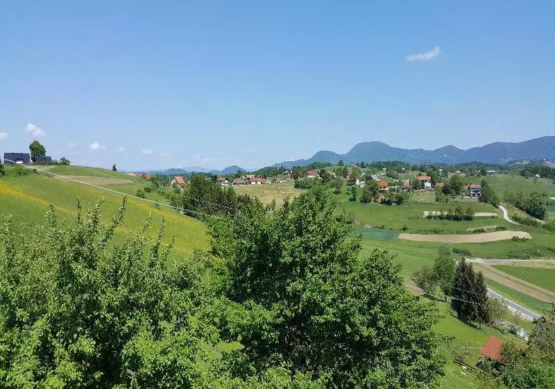 Fotos del hotel Apartments Plevnik:  7