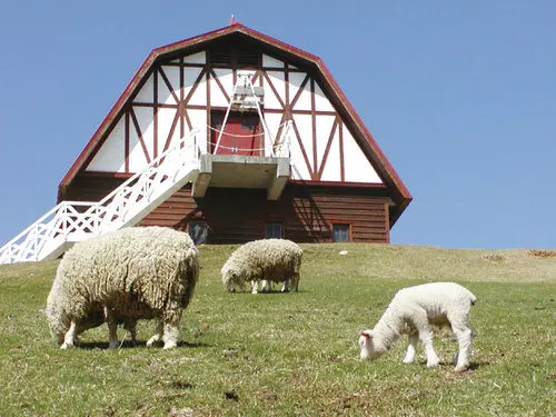 Fotos del hotel Daiichi Grand  Kobe Sannomiya:  22