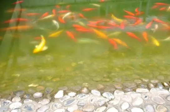 Fotos del hotel Noahs Hotel Suzhou:  11