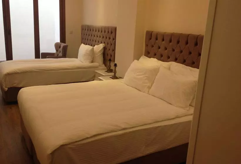 Fotos del hotel World Heritage Hotel Istanbul:  8